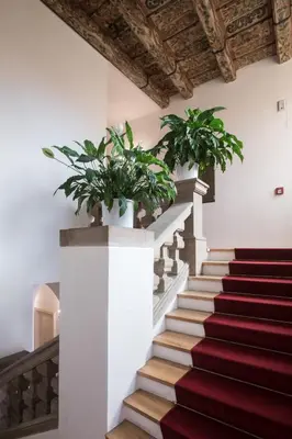 a staircase with two potted plants on top of it at Opitzův dům in Prague