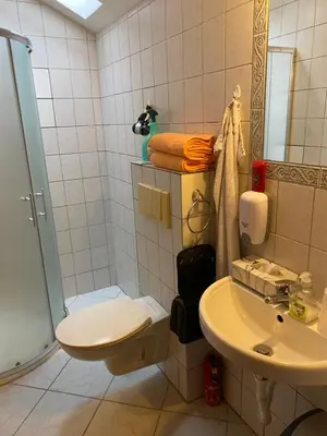 a bathroom with a sink and a toilet and a shower at Penzion Rozkoš in Pruhonice