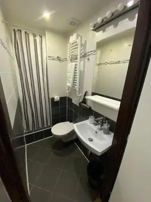 a bathroom with a sink and a toilet and a mirror at Central Studios in Prague