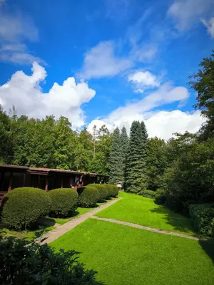 a garden with green grass and bushes and trees at ZÁTOKA Živohošť - Chaty in Chotilsko