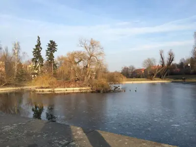 a pond in a park with ducks in the water at Kiki & Luky family apartment by Prague Castle in Prague