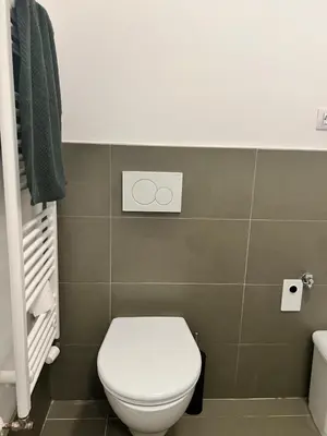 a bathroom with a white toilet in a room at Black Pearl by Vysehrad Castle in Prague