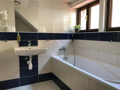 a bathroom with a sink and a bath tub at Old Prague House in Prague