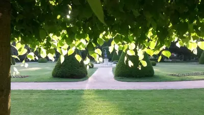 a row of bushes in a park with a walkway at Apartmá v srdci Poděbrad in Poděbrady