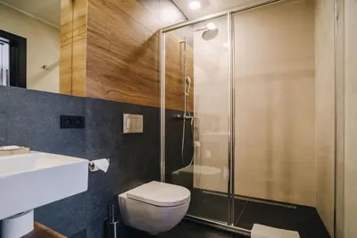 a bathroom with a shower and a toilet and a sink at Executive Apartments Taborska in Mladá Boleslav