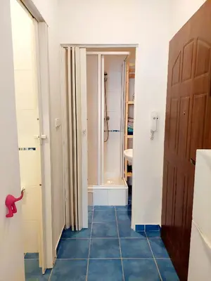 a bathroom with a shower and a blue tile floor at Cozy studio in Vinohrady in Prague