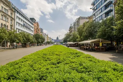a grassy street in a city with buildings at Luxury apartment in the centre in Prague