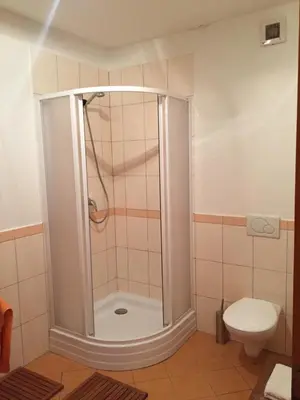 a bathroom with a shower and a toilet at Apartmán Chrpa in Snědovice