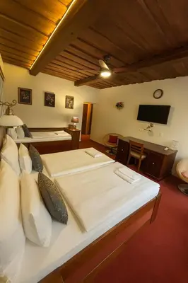 a hotel room with two beds and a television at Hotel Galerie in Roudnice nad Labem