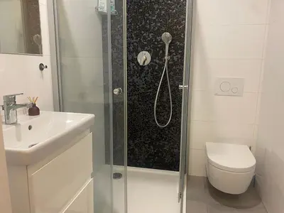 a bathroom with a shower with a toilet and a sink at NaNa Flat in Prague