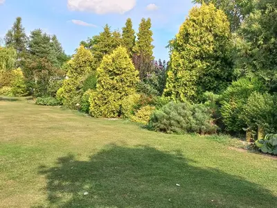 a garden with trees and grass and a field at Paradise villa apartment in Prague