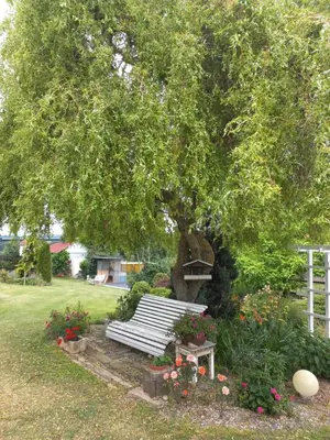 a park bench under a tree in a garden at Paradise villa apartment in Prague