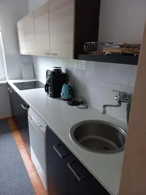 a kitchen counter with a sink and a microwave at Paradise villa apartment in Prague