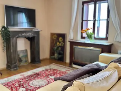 a fireplace with a plant on top of it at 2-Floor Traditional Prague Apartment in Prague