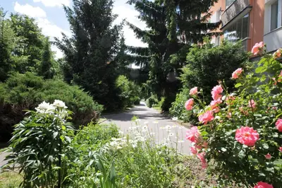 a garden path with flowers and plants at Jana's apartment, free parking in Prague