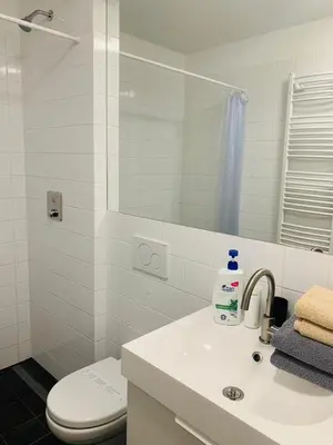 a bathroom with a sink and a toilet and a mirror at Cozy friendly place with free parking in Prague