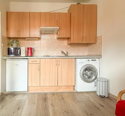 a kitchen with wooden cabinets and a washer and dryer at Modern apartment Krymská & Francouzská street in Prague