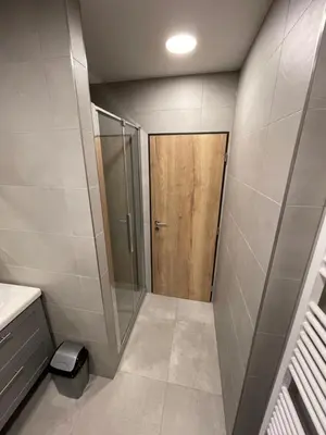 a bathroom with a shower and a wooden door at Rezidence Kbely - Free Parking in Prague