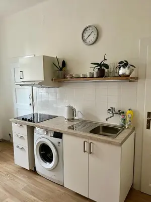a kitchen with a sink and a washing machine at Apartmán Colette in Prague