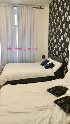 two beds in a room with a window at Hotel Apartment in square praha 2 in Prague