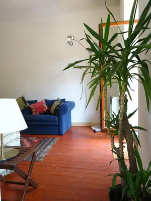a living room with a blue couch and a plant at Garden Apartment on Art Nouveau Street in Central Prague in Prague