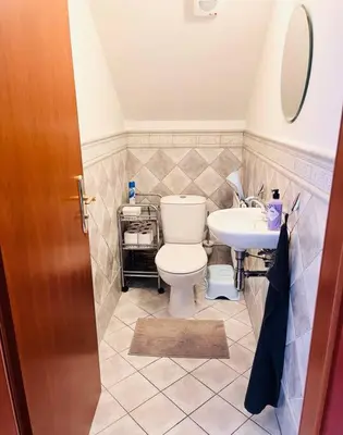 a bathroom with a toilet and a sink at Apartmán se zahradou 20 minut do centra Prahy in Ořech