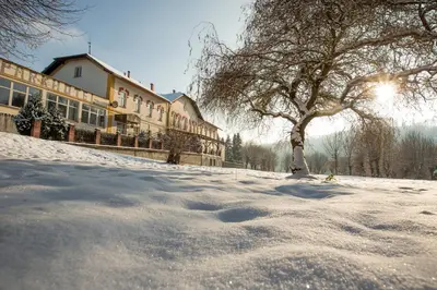 a snow covered street with a tree and a building at Pension v parku Český Šternberk in Český Šternberk