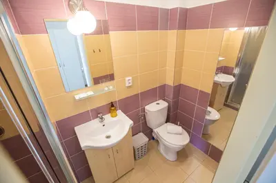 a bathroom with a sink and a toilet and a mirror at Pension v parku Český Šternberk in Český Šternberk