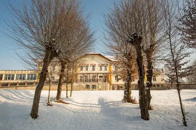 a group of trees in the snow in front of a building at Pension v parku Český Šternberk in Český Šternberk