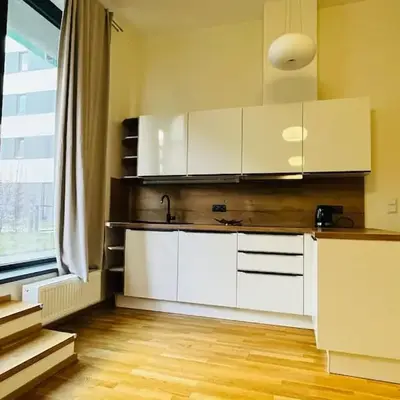 Apartment Holesovice
