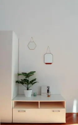a dresser with a potted plant on top of it at Modern Apartment in the Center of Prague in Prague