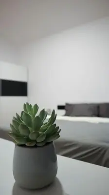 a green plant sitting on a counter in a kitchen at Modern Apartment in the Center of Prague in Prague