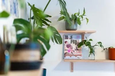 a shelf with potted plants and a book at Malý byt s balkonem & free parking in Prague