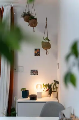 a room with plants and a table with a light at Malý byt s balkonem & free parking in Prague