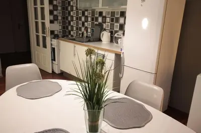 a kitchen with a table with a potted plant on it at 2 Bedrooms close Vyšehrad - Congress centrum in Prague