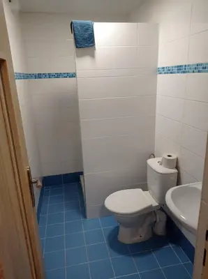 a bathroom with a toilet and a sink at Penzion Pralinka in Rakovník