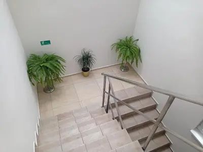 a staircase with potted plants in a room at Penzion Pralinka in Rakovník