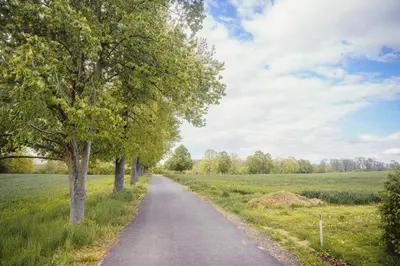 a road in the middle of a field with trees at Chalupa Ořešák - Walnut House in Svojšice