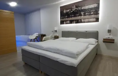 a bedroom with a large bed in a room at Adeba Plus in Prague