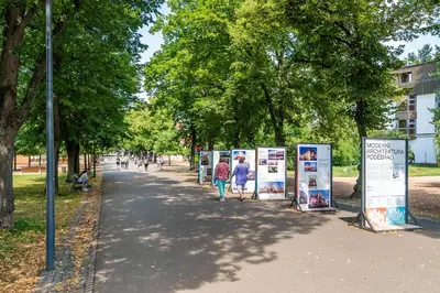 a group of people walking down a sidewalk next to trees at Apartmán v Poděbradech in Poděbrady