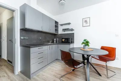 a kitchen with a table and chairs in a room at Apartmán v Poděbradech in Poděbrady
