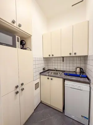 a kitchen with white cabinets and a sink and a dishwasher at Josefov Riverside Apartment in Prague