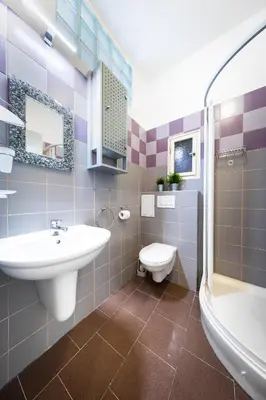 a bathroom with a sink and a toilet at Bohéme Apartment Wenceslas Square in Prague
