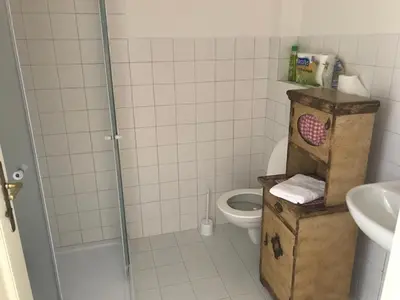 a small bathroom with a toilet and a shower at Dvůr bude in Osečany