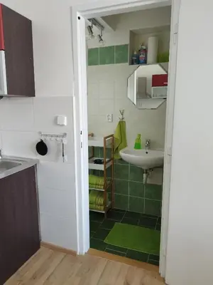 a small bathroom with a sink and a sink at Stará Sázava in Sázava