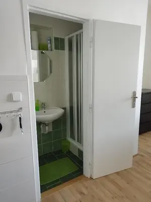 a bathroom with a sink and a shower backdoor at Stará Sázava in Sázava