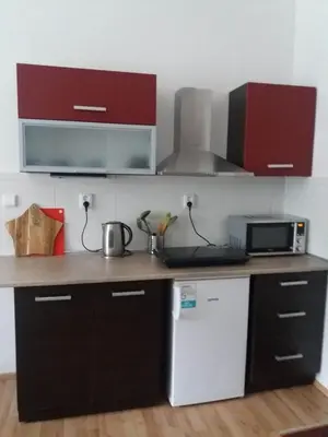 a kitchen with a counter with a microwave and a refrigerator at Stará Sázava in Sázava