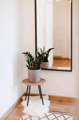 a potted plant sitting on a table in front of a mirror at Loft apartment with balcony in centre in Prague
