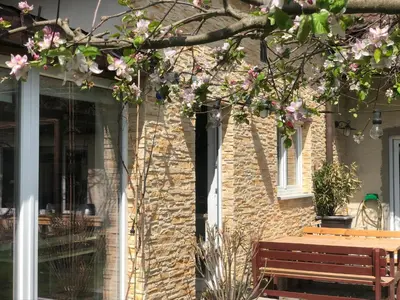 a building with a bench and a tree with pink flowers at Apartmán Marmeláda in Čtyřkoly