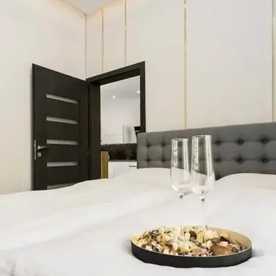 Luxury Apartment on Wenceslas Square